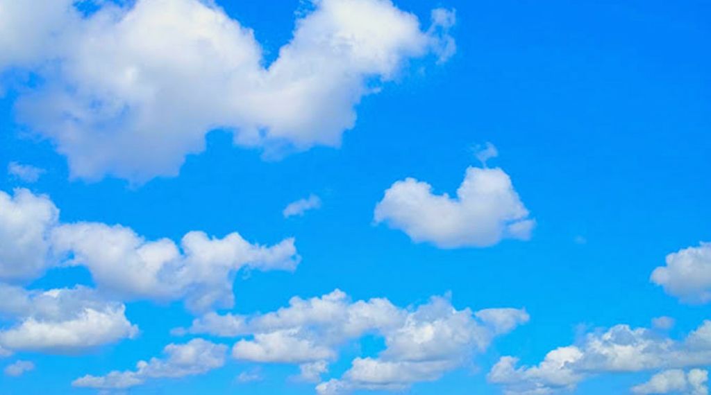 ãããã¡ð on LIPS ãä»ç§ããã£ãŠããèãããæããŸãïŒâ-------------..ãïŒ1æç®ïŒ