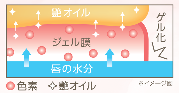 セザンヌから「セザンヌ 細芯アイブロウN」 が新発売!ジェル膜リップやラメシャドウの新色など続々登場の画像