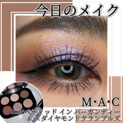 コネクト イン カラー アイシャドウ パレット × 6/M・A・C/アイシャドウパレットを使ったクチコミ(1枚目)