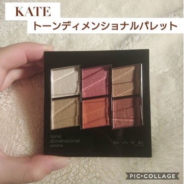 トーンディメンショナルパレット/KATE/メイクアップキットを使ったクチコミ（1枚目）