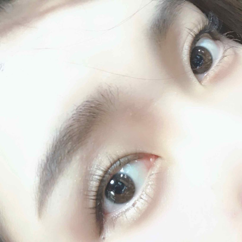 ノーズ&アイブロウパウダー/CEZANNE/パウダーアイブロウを使ったクチコミ(1枚目)