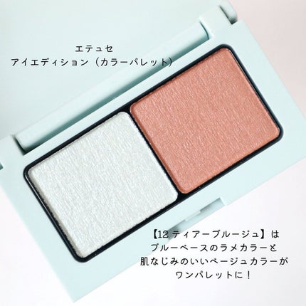 エテュセ アイエディション(カラーパレット)/ettusais/アイシャドウパレットを使ったクチコミ(6枚目)