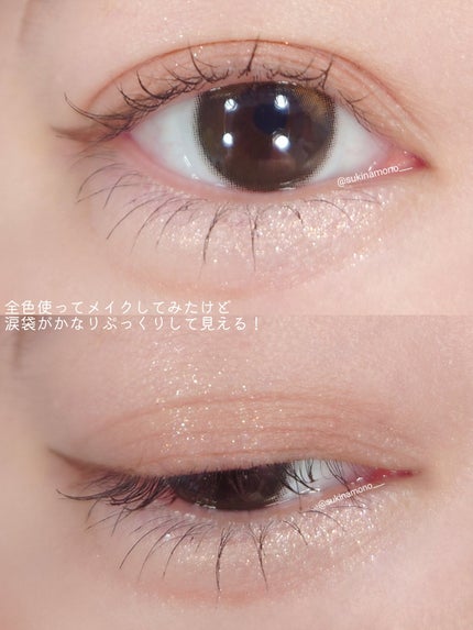 プランぷくコーデアイズ/キャンメイク/パウダーアイシャドウを使ったクチコミ(4枚目)