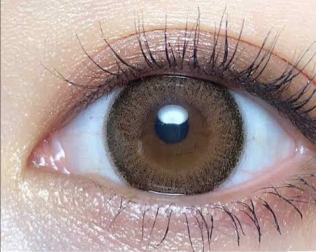 スキニーリッチシャドウ/excel/アイシャドウパレットを使ったクチコミ（2枚目）