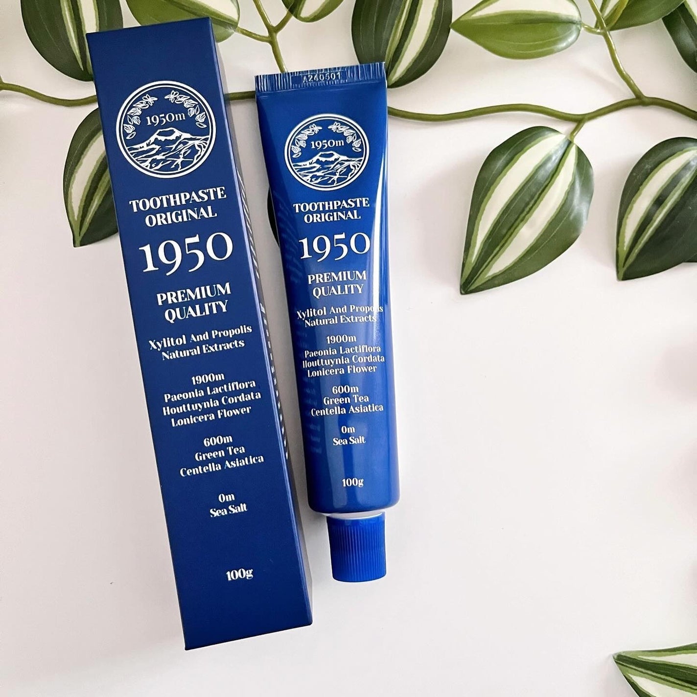 チェジュミネラルソルトブルーオーガニック歯磨き粉/1950/歯磨き粉を使ったクチコミ(6枚目)