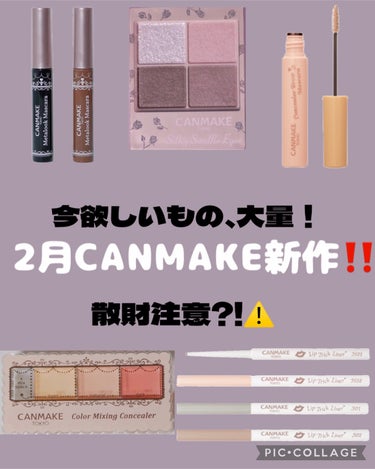 キャンメイク リップトリックライナーのクチコミ「2月CANMAKE新作‼️


┈┈┈┈┈┈┈┈┈┈
今回も可愛すぎる新作が発売されるので是非.....」（1枚目）