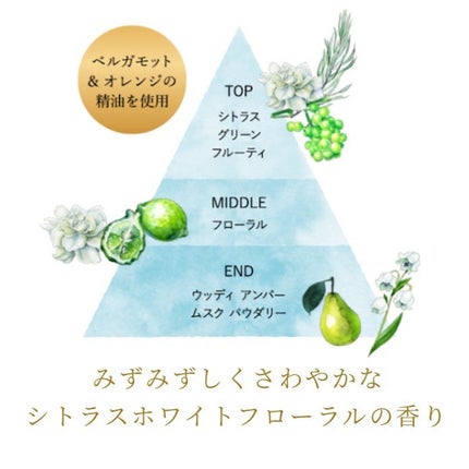 iP タラソリペア 補修美容液シャンプー/補修美容液トリートメント (ディープモイスト)/Je l'aime/市販シャンプーを使ったクチコミ(5枚目)