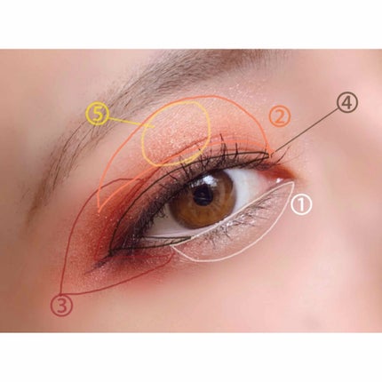 UR GLAM BLOOMING EYE COLOR PALETTE/U R GLAM/アイシャドウパレットを使ったクチコミ(4枚目)