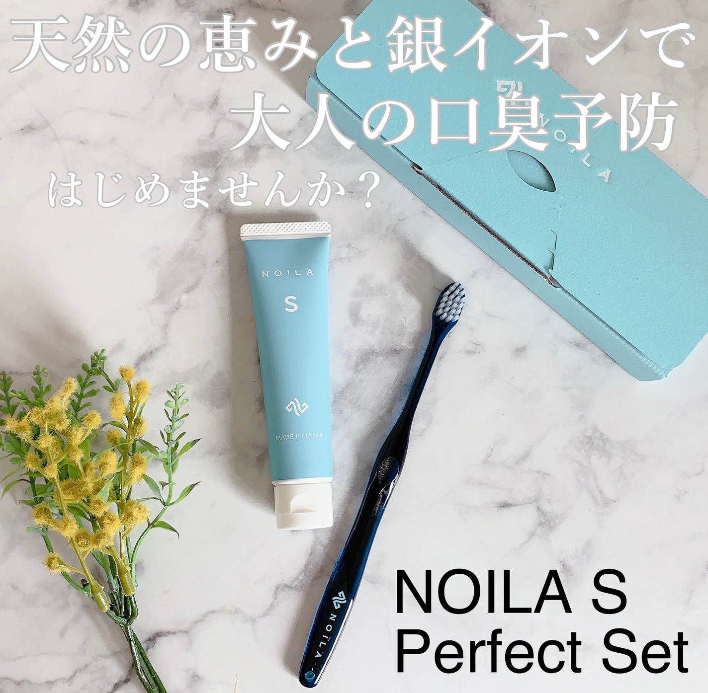 NOILA S Thoothpaste/NOILA/歯磨き粉を使ったクチコミ(1枚目)
