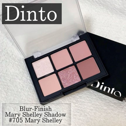 ブラーフィニシュシャドウパレット/Dinto/アイシャドウパレットを使ったクチコミ(1枚目)