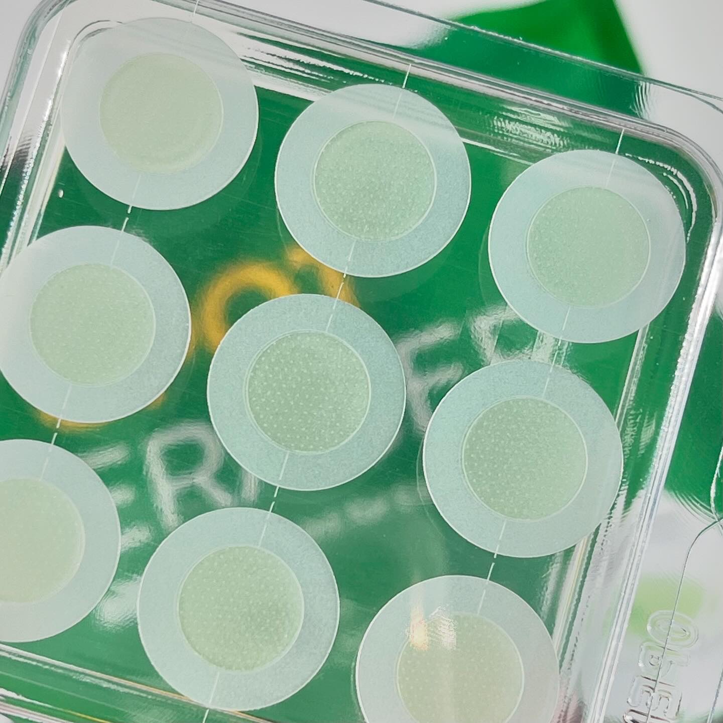 スポットイレイザー/NOLAHOUR/その他スキンケアを使ったクチコミ（3枚目）