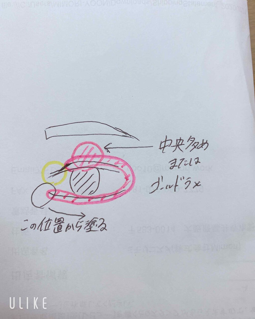 グロウフルールチークス/キャンメイク/パウダーチークを使ったクチコミ(2枚目)