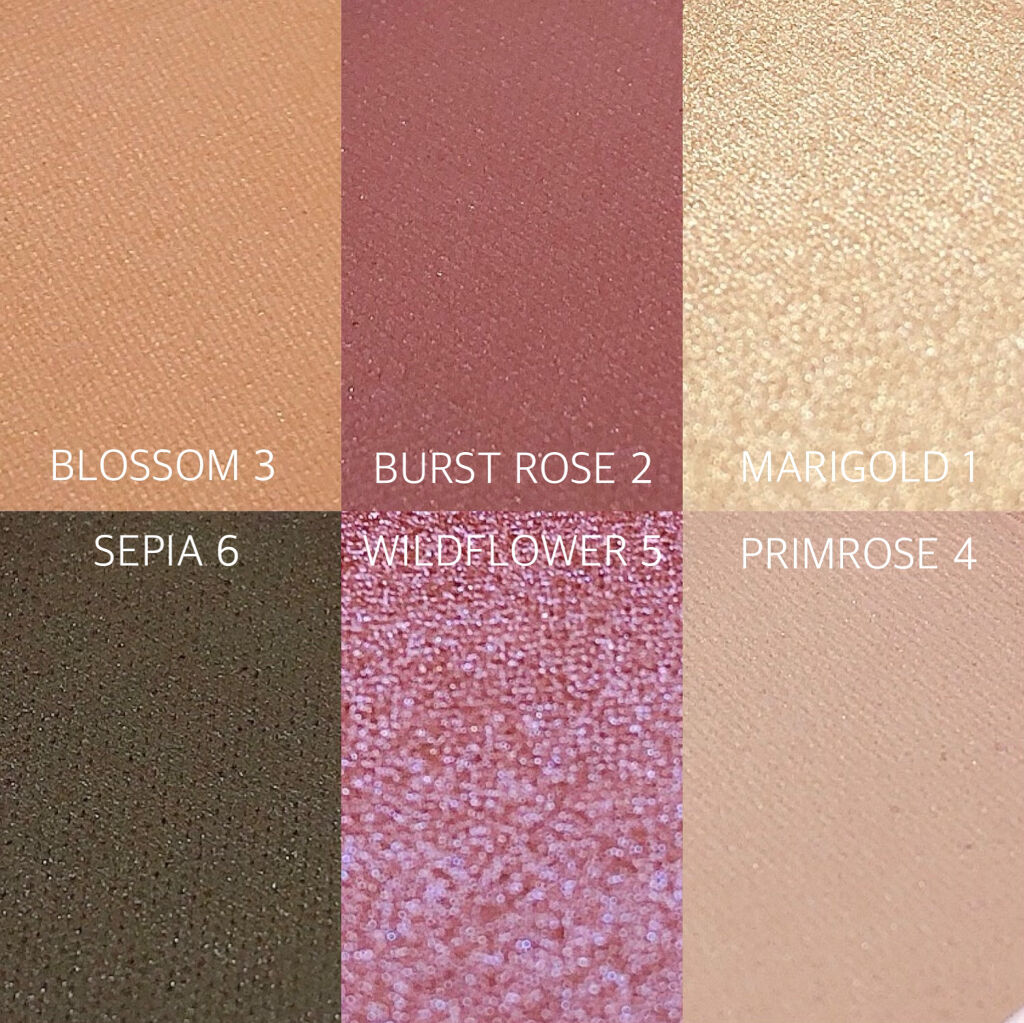 ミネラリスト アイシャドウ パレット ローズウッド/bareMinerals/アイシャドウパレットを使ったクチコミ（3枚目）