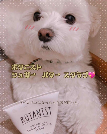 ボタニカルシュガー&バタースクラブ(カシス&ローズ)/BOTANIST/ボディスクラブを使ったクチコミ(1枚目)