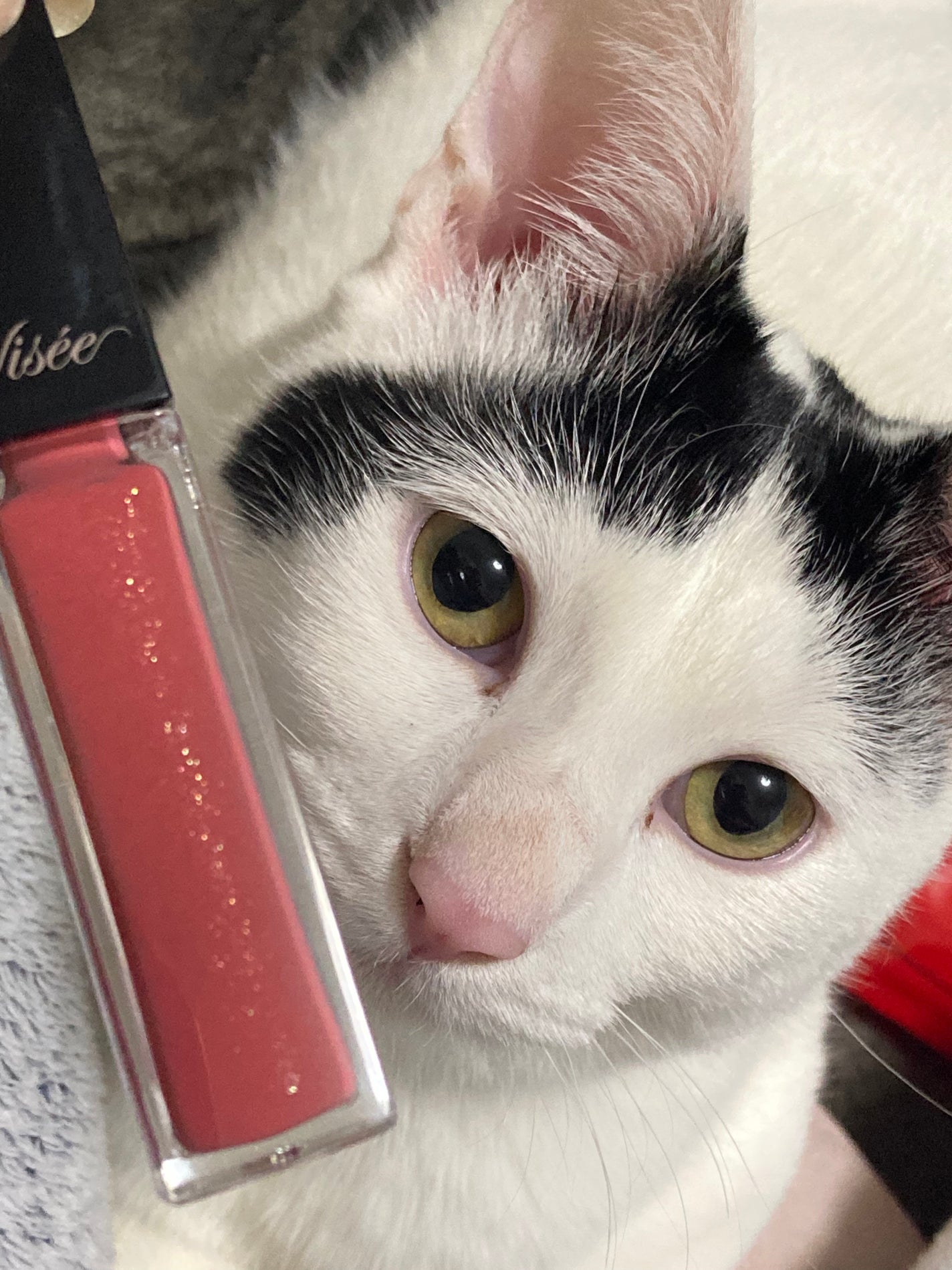 エッセンス リッププランパー/Visée/リッププランパーを使ったクチコミ(3枚目)