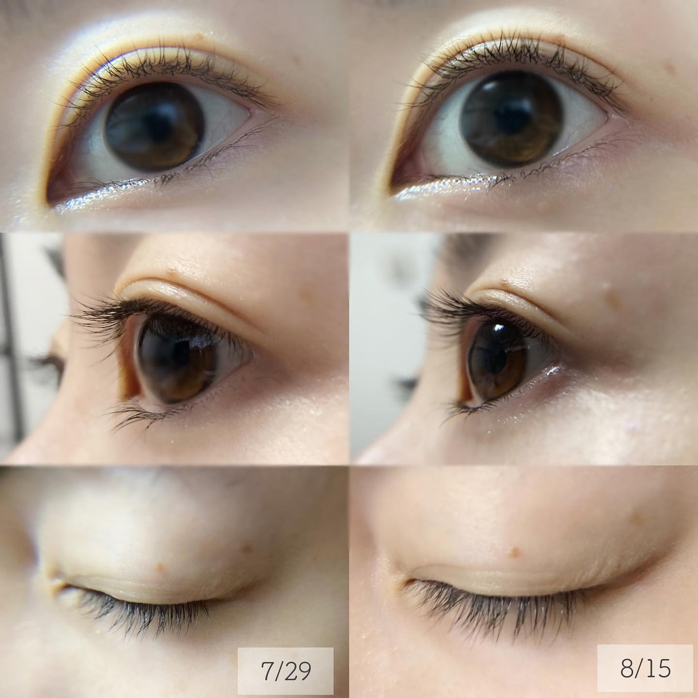 ラッシュアディクト アイラッシュコンディショニングセラム/soaddicted/まつげ美容液を使ったクチコミ(2枚目)