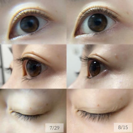 ラッシュアディクト アイラッシュコンディショニングセラム/soaddicted/まつげ美容液を使ったクチコミ(2枚目)