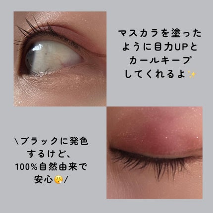 コスノリ アイラッシュティンティングセラム/COSNORI/まつげ美容液を使ったクチコミ(5枚目)