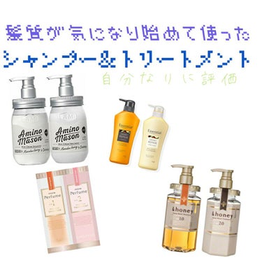 ディープモイスト シャンプー1.0／ヘアトリートメント2.0/&honey/シャンプー・コンディショナーを使ったクチコミ（1枚目）