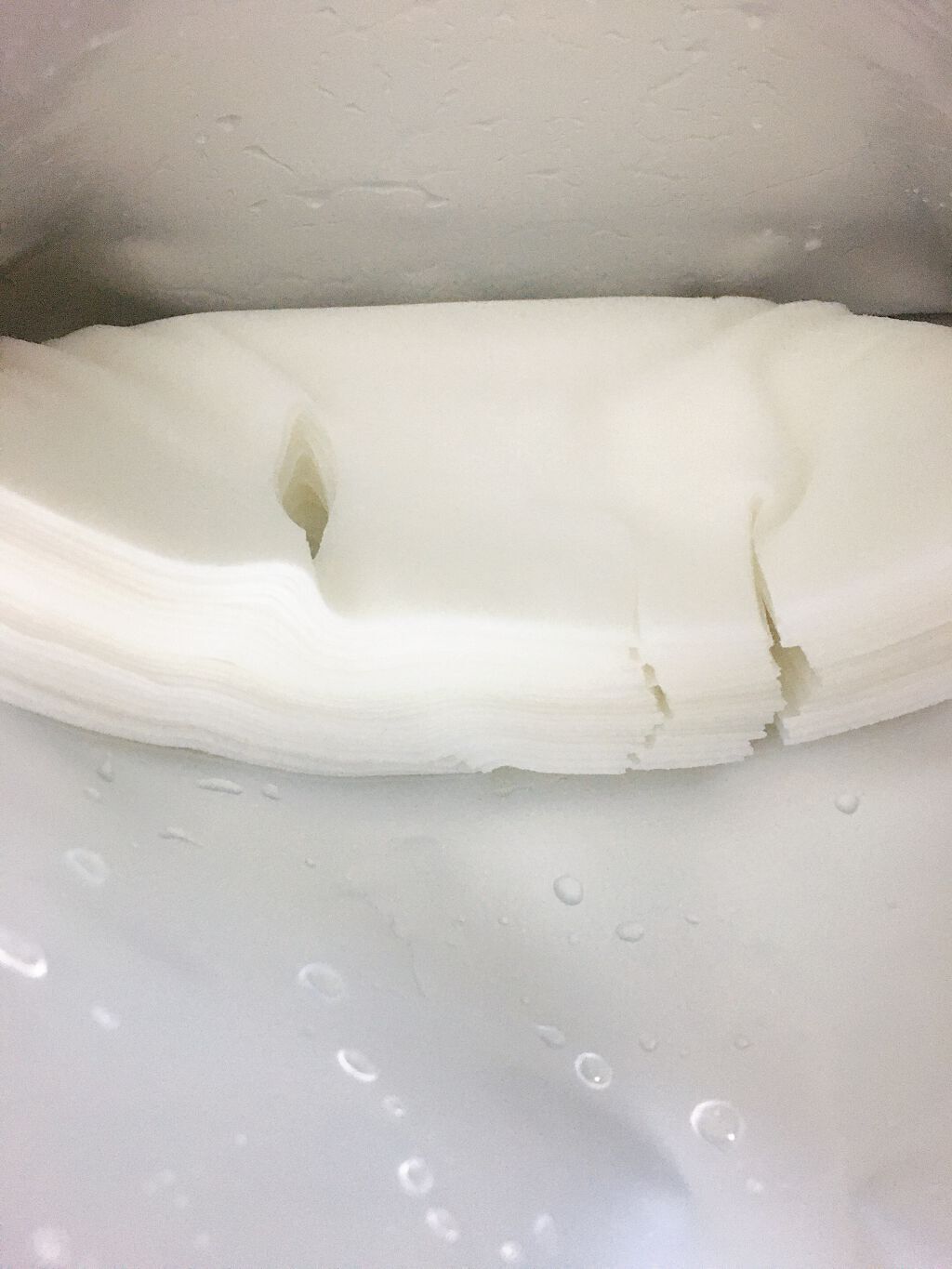 フェイスマスク/THE STEM CELL/シートマスク・パックを使ったクチコミ(6枚目)