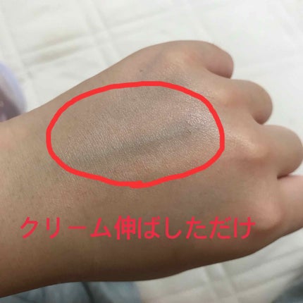 フェイクヌードクリーム/素肌記念日/クリーム・エマルジョンファンデーションを使ったクチコミ(3枚目)
