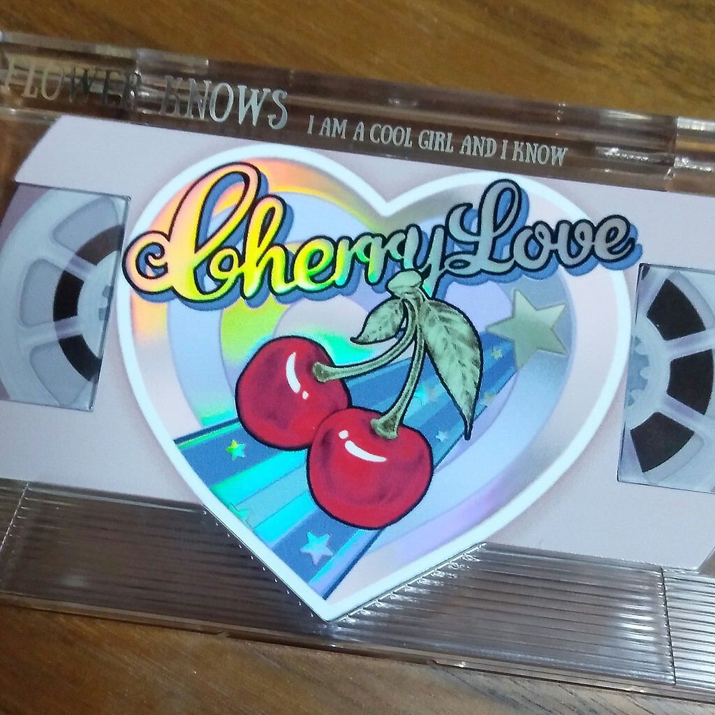 レトロマグネティック アイシャドウパレット 04 チーズボックス(Cheese Box)/FlowerKnows/アイシャドウパレットを使ったクチコミ（1枚目）