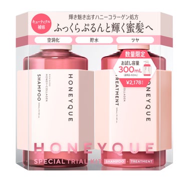 リッチグロス シャンプー シャイニー／ヘアトリートメント シャイニー お試し容量 限定キット(シャンプー300ml＋ヘアトリートメント300ml)