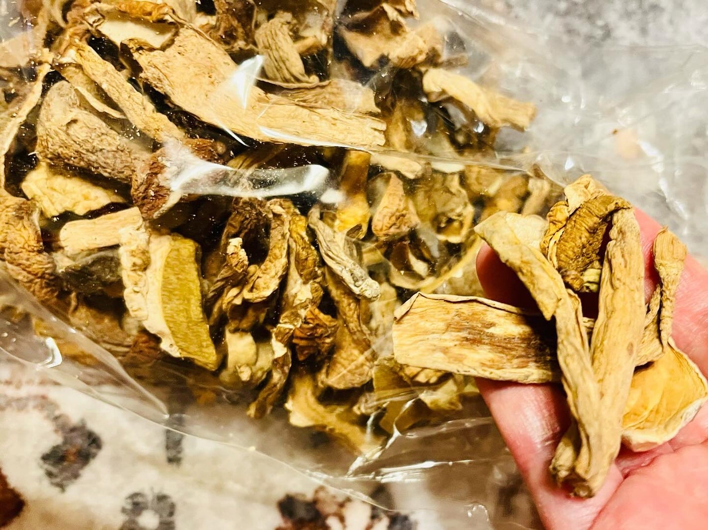 chiekotan on LIPS 「芳香な森の香りのポルチーニ✨@funworldfoodさんでお..」(2枚目)