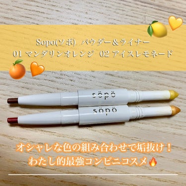 パウダー&ライナー 01 オレンジ×レッドブラウン（マンダリンオレンジ）/sopo/パウダーアイシャドウを使ったクチコミ（1枚目）