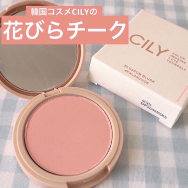 ブロッサムブラッシュ  #KALANCHOE/CILY/パウダーチークを使ったクチコミ（1枚目）