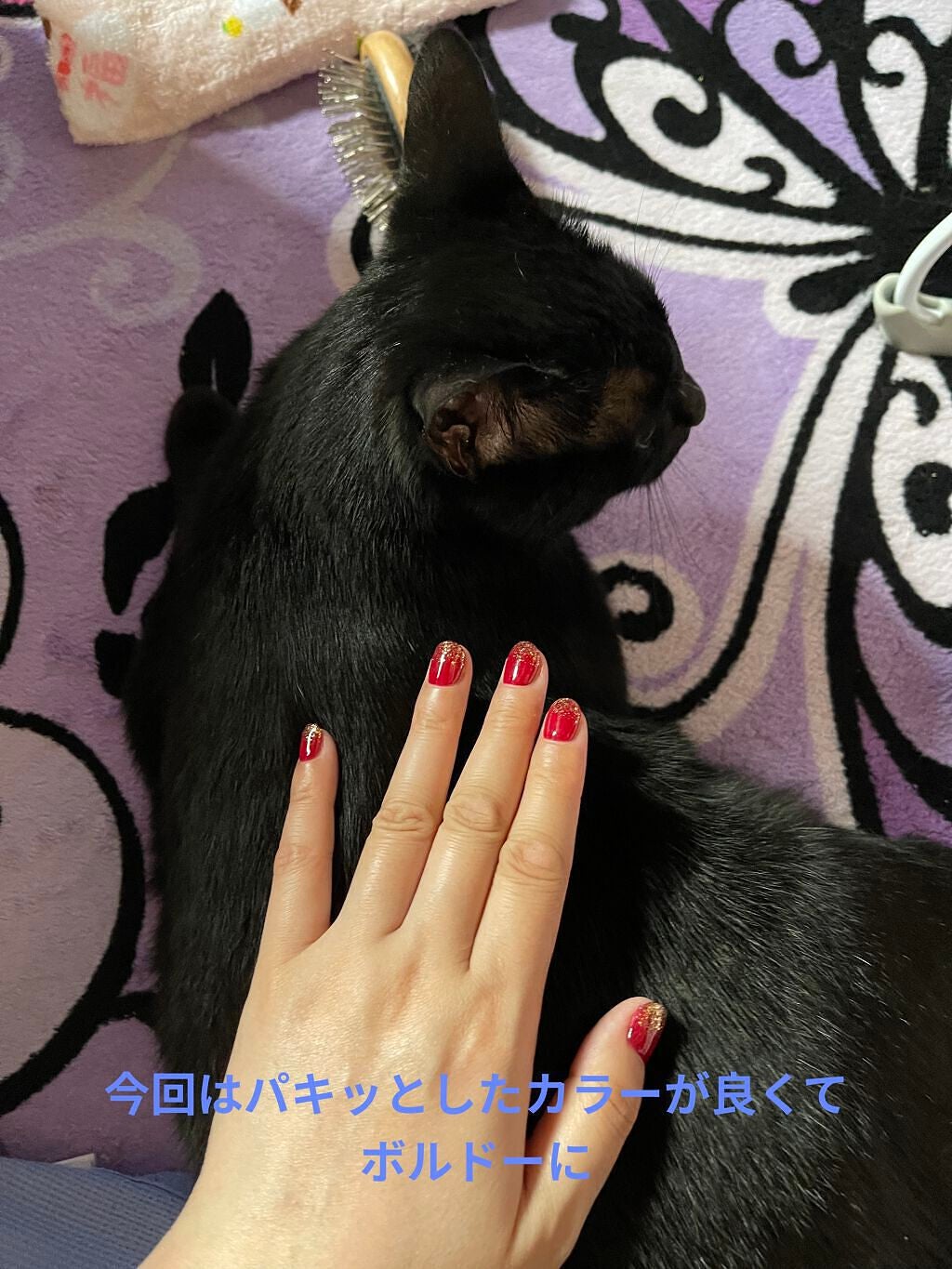 ã¯ããã¡ðâ⬠on LIPS ããçªè²3åç®ã2022/6/42åç®ãã4é±éåŸã«ãµãã³ãžä¿æ¹¿..ãïŒ4æç®ïŒ