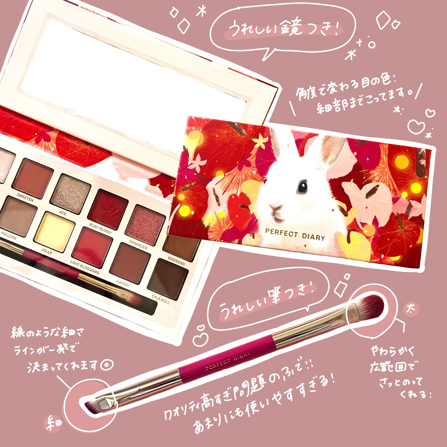 限定アイシャドウパレット】エクスプローラ12色 動物アイシャドウ