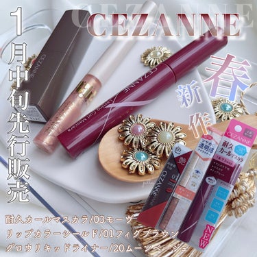 リップカラーシールド/CEZANNE/口紅を使ったクチコミ（1枚目）