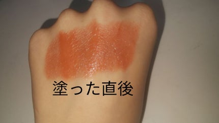 ラスティング リップカラーN/CEZANNE/口紅を使ったクチコミ(1枚目)
