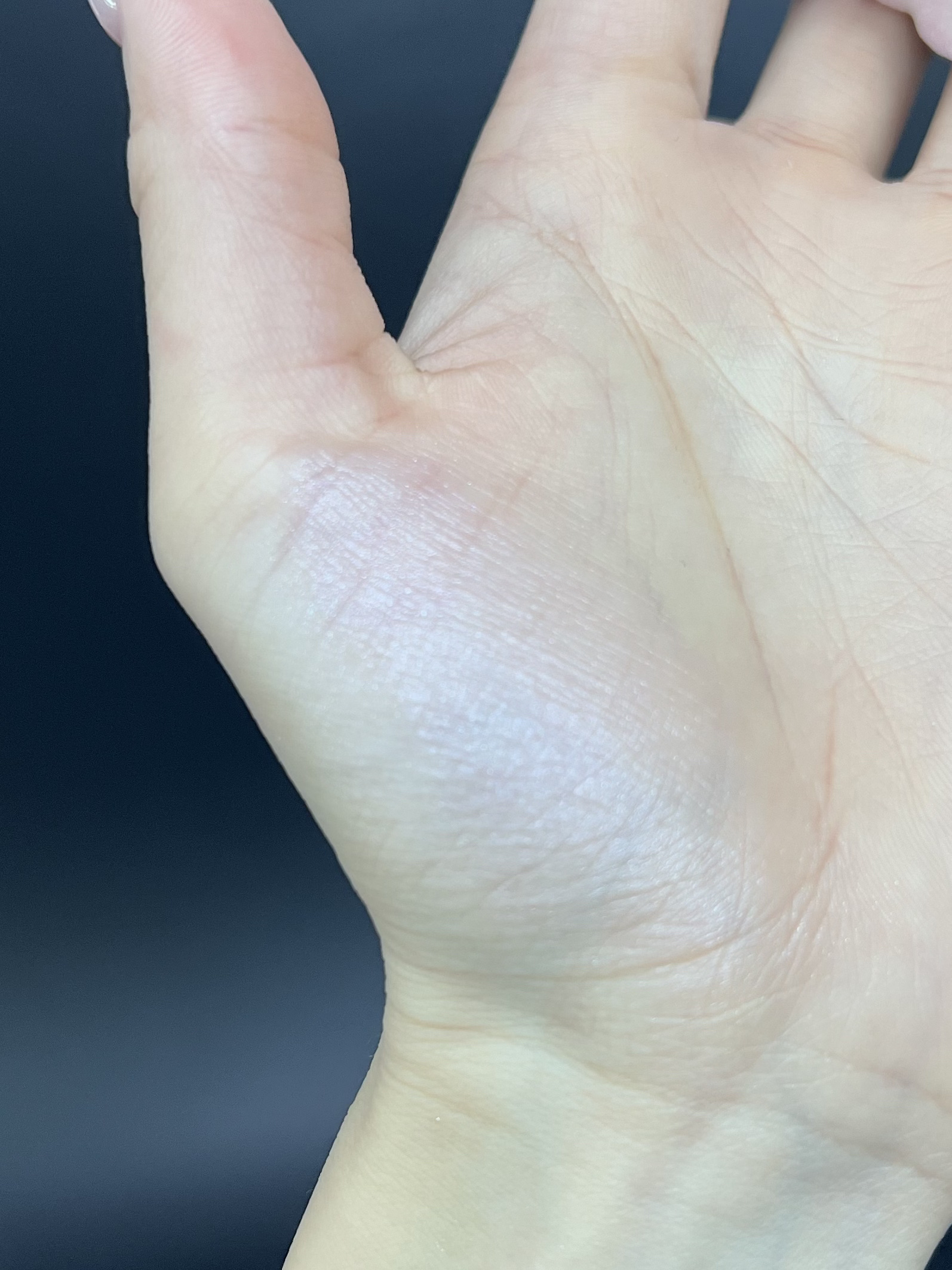 クリームチーク(パールタイプ)/キャンメイク/ジェル・クリームチークを使ったクチコミ（3枚目）