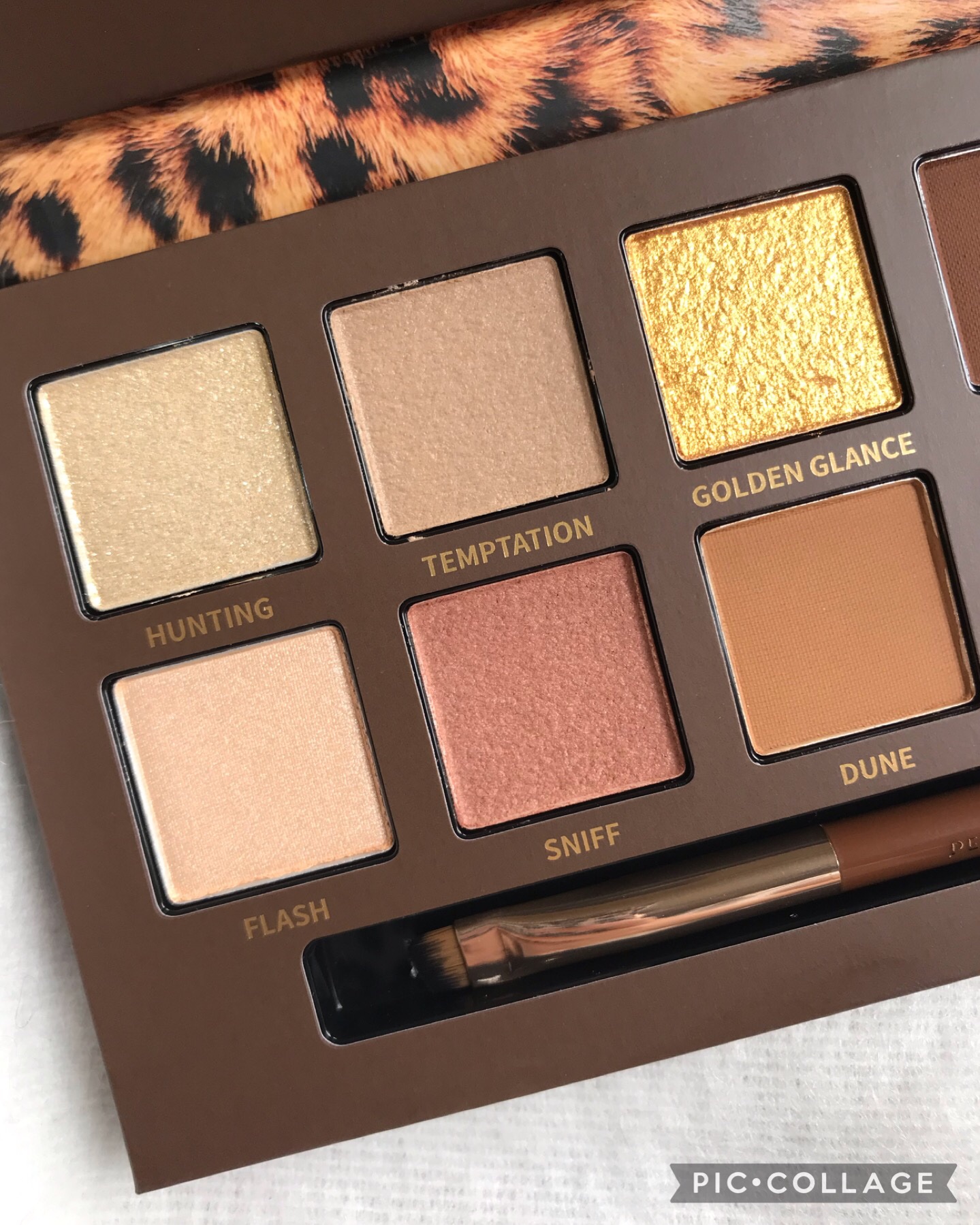 エクスプローラ12色 動物アイシャドウパレット/PERFECT DIARY/アイシャドウパレットを使ったクチコミ（3枚目）