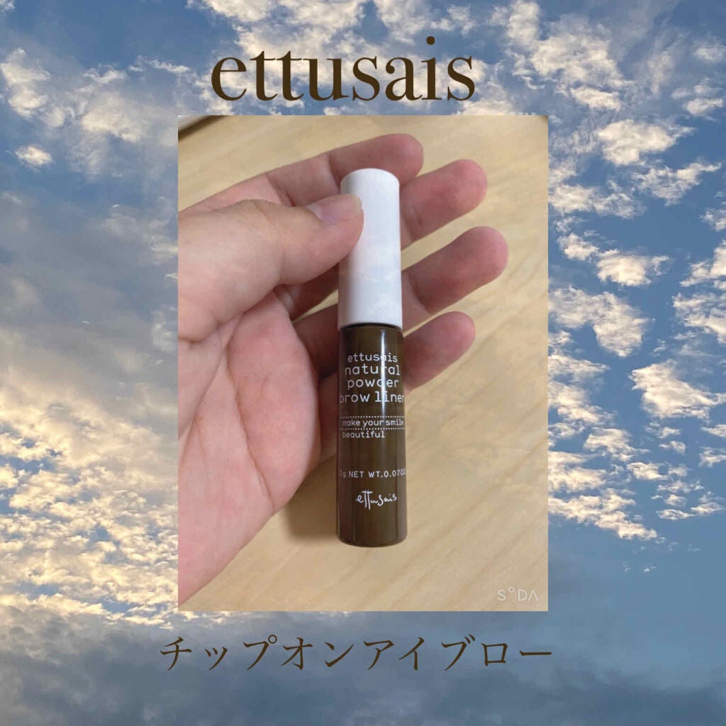 チップオン アイブロー/ettusais/パウダーアイブロウを使ったクチコミ(1枚目)