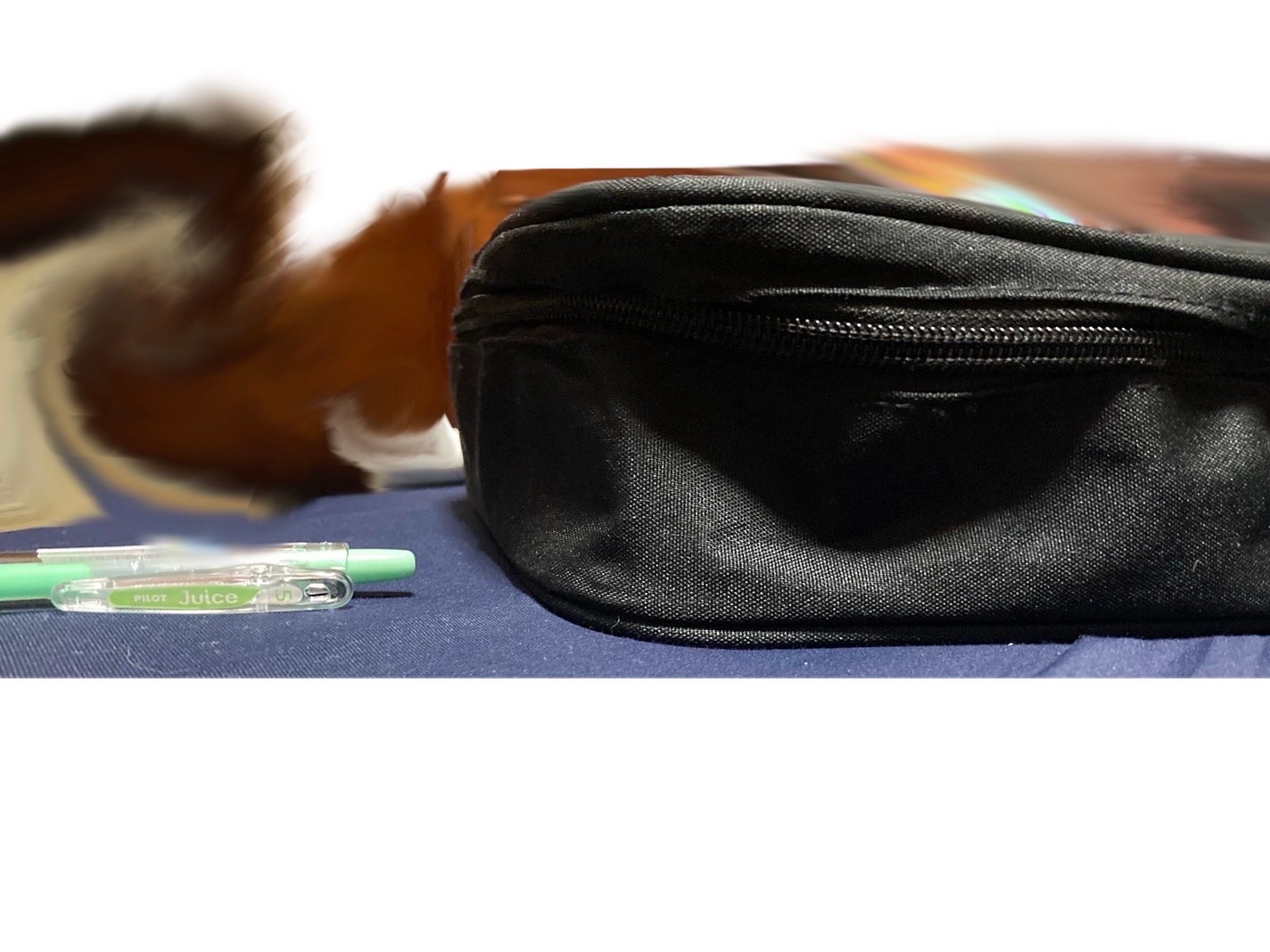 バニティケース/Standard Products by DAISO /化粧ポーチを使ったクチコミ(4枚目)