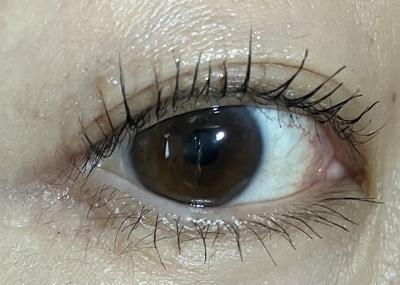 ラッシュエキスパンダー ロングロングロング BK999 ディファインブラック/MAJOLICA MAJORCA/マスカラを使ったクチコミ（3枚目）