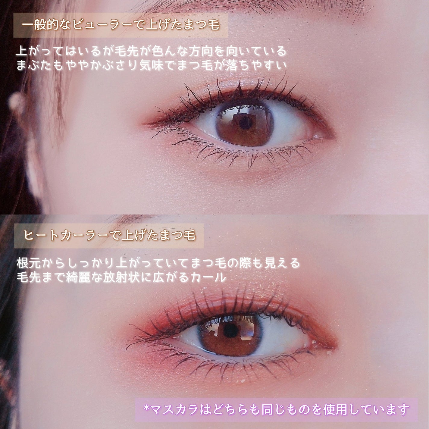 ã¯ããã§ãããããŒãã«ãŒã©ãŒ/SHOBIDO/ããããã¥ãŒã©ãŒã䜿ã£ãã¯ãã³ãïŒ6æç®ïŒ