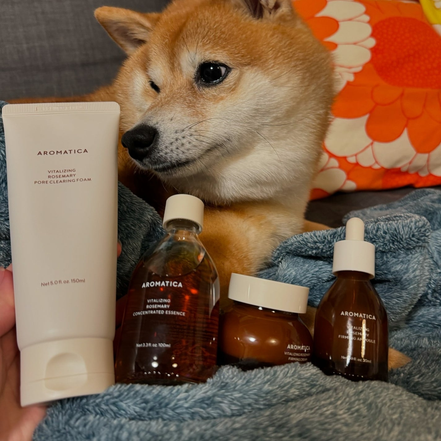 ローズマリーコンセントレイテッドエッセンス/AROMATICA/美容液を使ったクチコミ(6枚目)