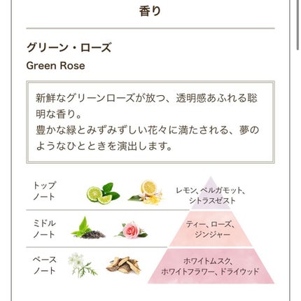 シルキーボディミルク/SABON/ボディミルクを使ったクチコミ(3枚目)