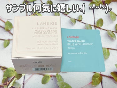 リップスリーピングマスク/LANEIGE/リップケア・リップクリームを使ったクチコミ（3枚目）