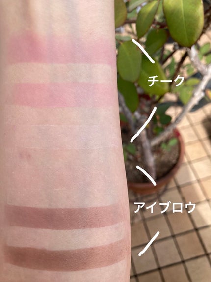 ラグトーマス・キット/RICAFROSH/アイシャドウパレットを使ったクチコミ(7枚目)