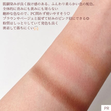 ノーズ&アイブロウパウダー/CEZANNE/パウダーアイブロウを使ったクチコミ(3枚目)