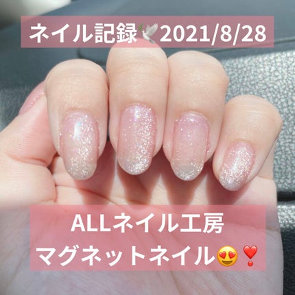 マグネットジェル/ネイル工房/ジェルネイルを使ったクチコミ(1枚目)