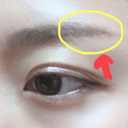 エバビレーナ アイブローコート/DAISO/アイブロウコートを使ったクチコミ(2枚目)