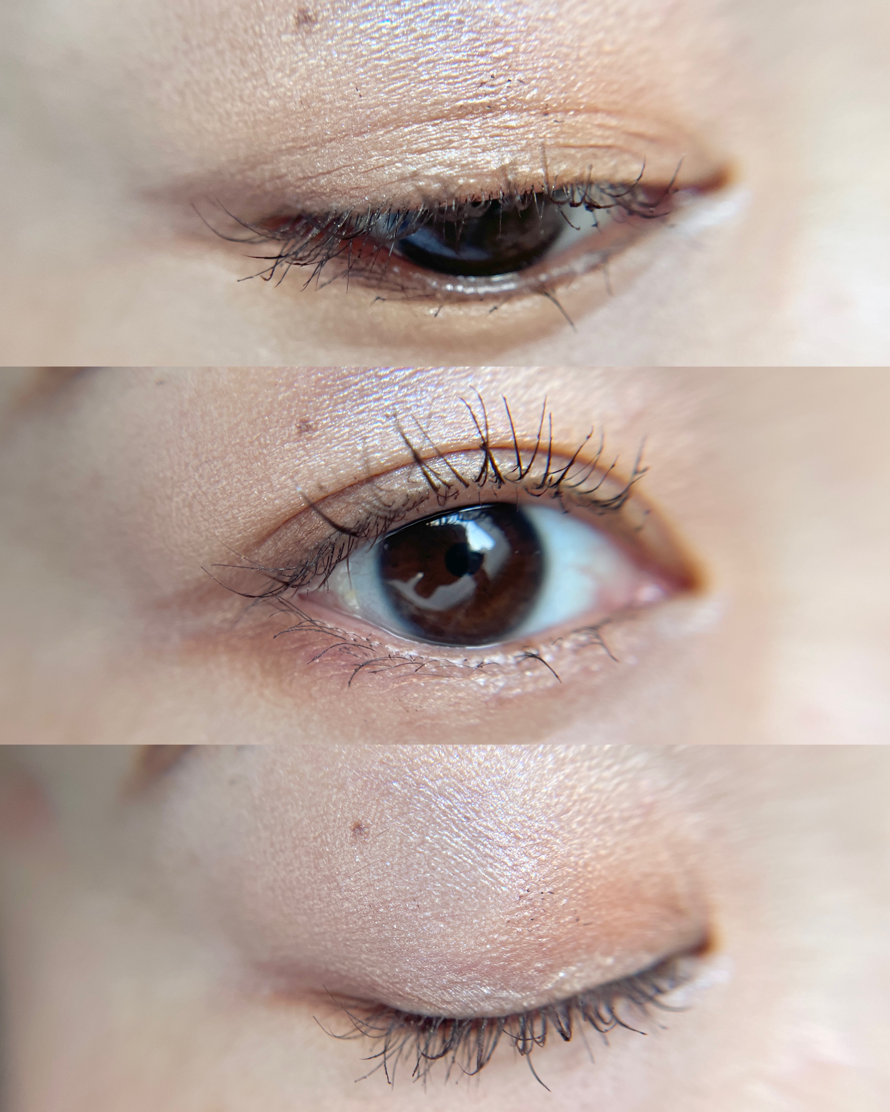 カクテルデイズ/KiSS/アイシャドウパレットを使ったクチコミ（3枚目）