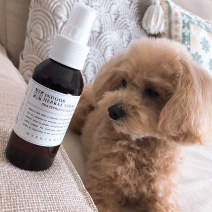 インドアハーバルスプレー グレープフルーツ/ユーカリ/MARKS&WEB/その他を使ったクチコミ(1枚目)