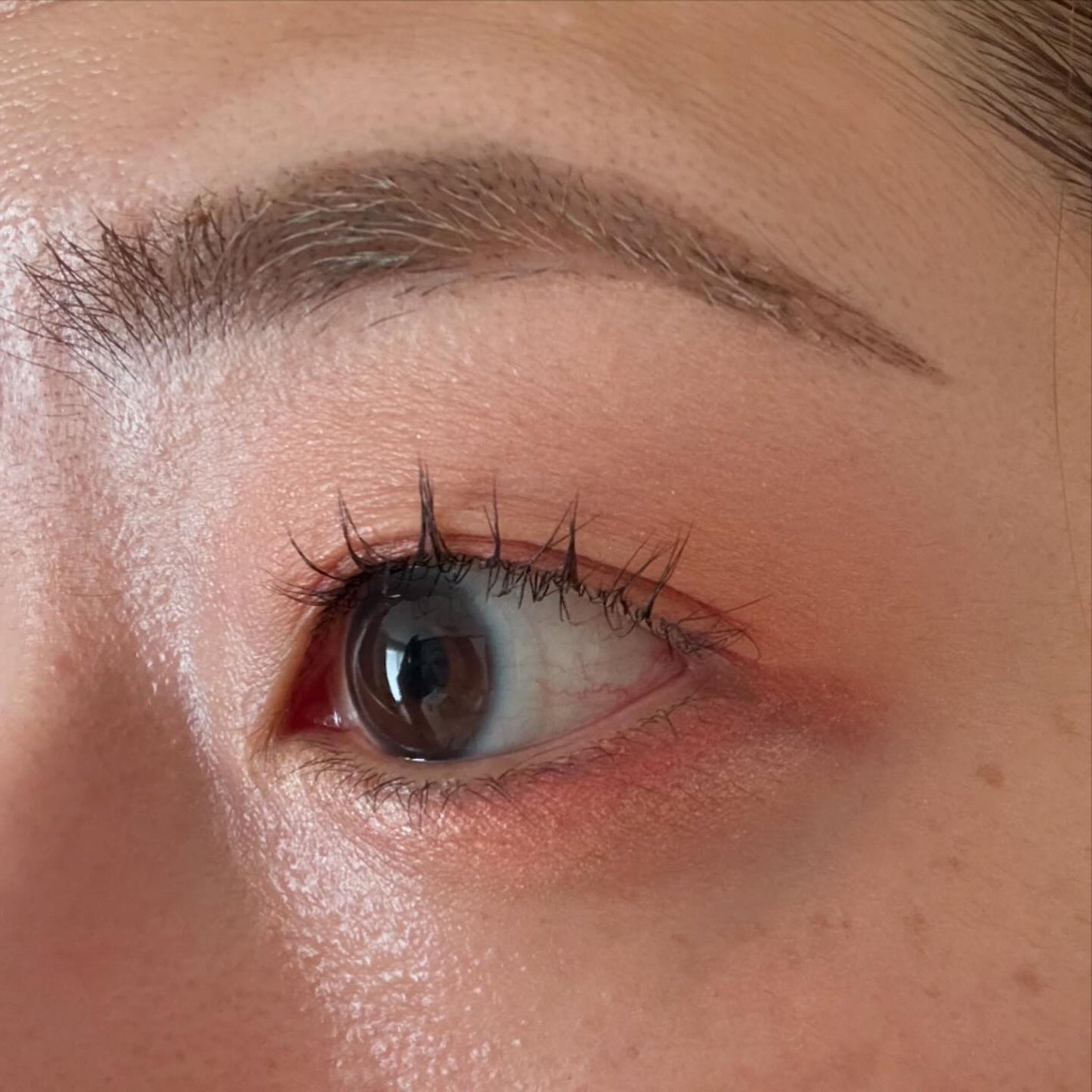 マスカラグルー&リムーバー/ミッシュブルーミン/その他化粧小物を使ったクチコミ(3枚目)